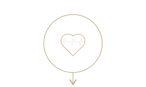 <center>Тестирование здоровья</center> - Массажное кресло Bodo Grottesk Grey